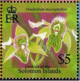 Stamp, Dendrobium macropyllum, Solomon Islands,  , Flowers, Orchids, Plants (Flora)
