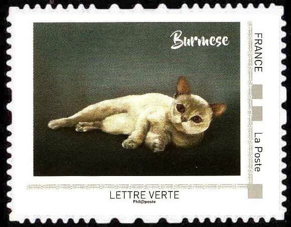 Burmese