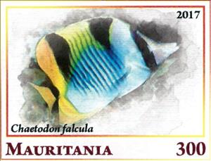 Stamp, Chaetodon falcula, Cinderellas,  , Animals (Fauna), Fishes