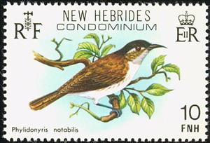 Stamp, White-bellied Honeyeater (Phylidonyris notabilis), Vanuatu,  , Birds