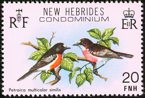 Petroica multicolor similis
