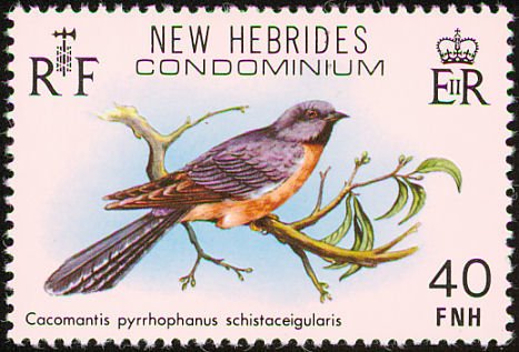 Cacomantis pyrrhophanes