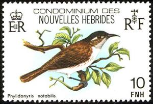 Stamp, White-bellied Honeyeater (Phylidonyris notabilis), Vanuatu,  , Birds