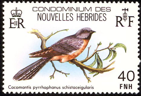 Cacomantis pyrrhophanes