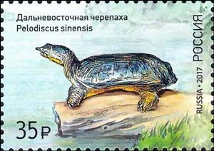 Stamp, Chinese Pond Turtle (Pelodiscus sinensis), Russia,  , Animals (Fauna), Turtles