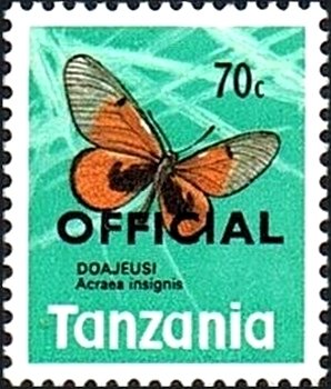 Black-blotched Acraea (Acraea insignis)