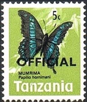 Horniman's Swallowtail (Papilio hornimani)