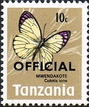 Bushveld Purple Tip (Colotis ione)