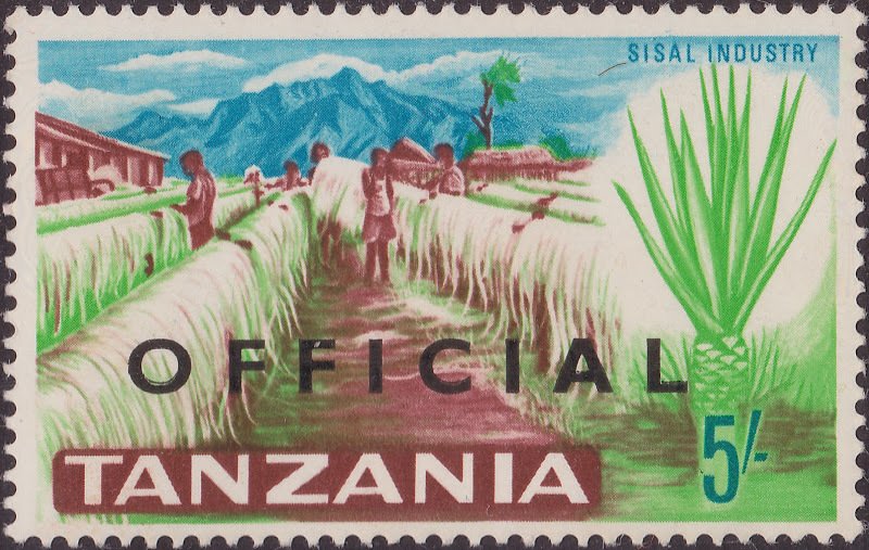 Sisal Plantation