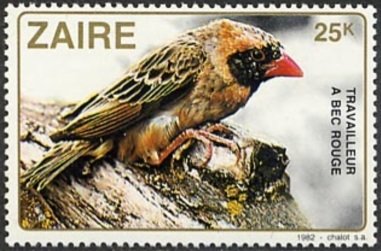 Stamp, Red-billed Quelea (Quelea quelea), Zaire,  , Birds, Animals (Fauna)