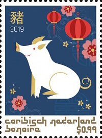 Year of the Pig 2019