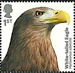 Stamp, White-tailed Eagle (Haliaeetus albicilla), United Kingdom of Great Britain & Northern Ireland,  , Animals (Fauna), Birds, Birds of Prey, Eagles