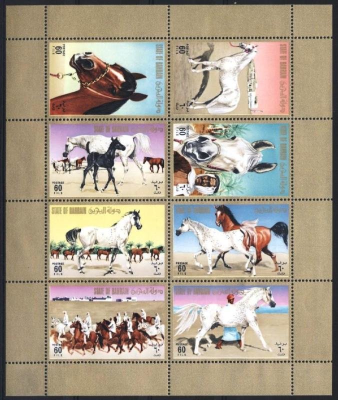 Arabian Horses