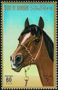 Stamp, Head of a thoroughbred horse, Bahrain,  , Horses, Animals (Fauna)