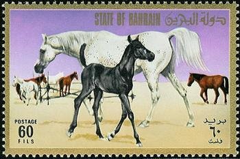Mare with foal