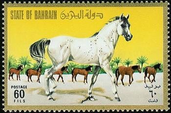 Herd of horses