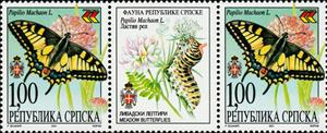 Gutter Pairs, Swallowtail (Papilio machaon), Bosnia and Herzegovina, Serbian Administration,  , Animals (Fauna), Butterflies, Insects