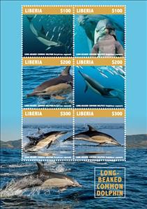 Mini Sheet, Long-Beaked Common Dolphin, Liberia,  , Animals (Fauna), Dolphins, Mammals, Sea (Marine) Mammals, Sea Life
