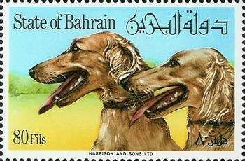 Stamp, Two Salukis, Bahrain,  , Dogs