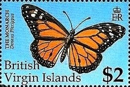 Monarch Butterfly (Danaus plexippus)