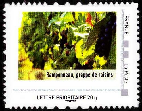 Ramponneau, grappe de raisins