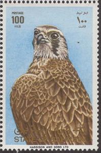 Stamp, Peregrine Falcon (Falco peregrinus), Bahrain,  , Birds, Birds of Prey, Animals (Fauna), Falcons