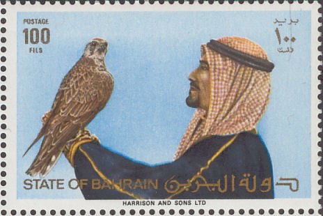 Peregrine Falcon (Falco peregrinus) on the Hand
