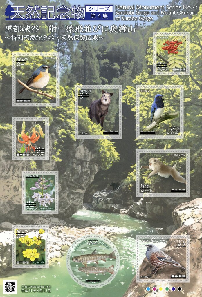 Korube Gorge Flora and Fauna