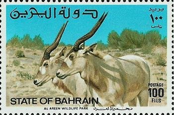 Addax (Addax nasomaculatus)