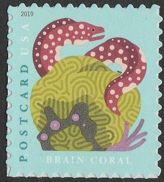 Brain Coral (Sheet Stamp)