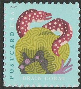 Stamp, Brain Coral (Sheet Stamp), United States of America,  , Animals (Fauna), Corals and Sponges, Fishes, Sea Life