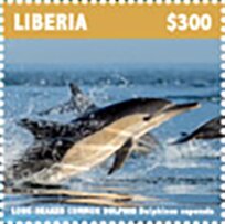 Long-Beaked Common Dolphin