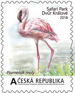 Velké africké expedice II. - Plameňák malý