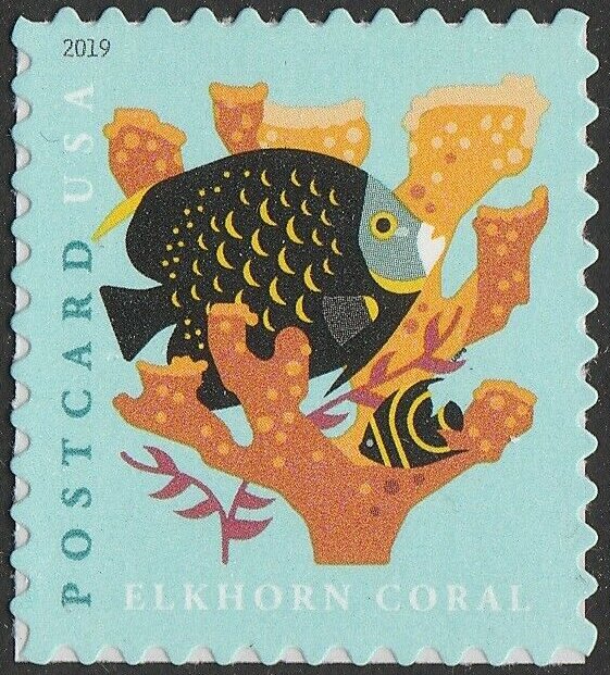 Elkhorn Coral (Sheet Stamp)