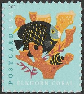 Stamp, Elkhorn Coral (Sheet Stamp), United States of America,  , Animals (Fauna), Corals and Sponges, Fishes, Sea Life