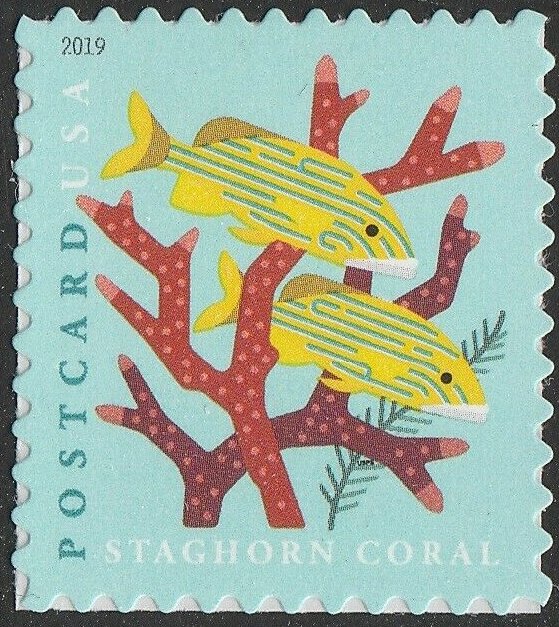 Staghorn Coral (Sheet Stamp)
