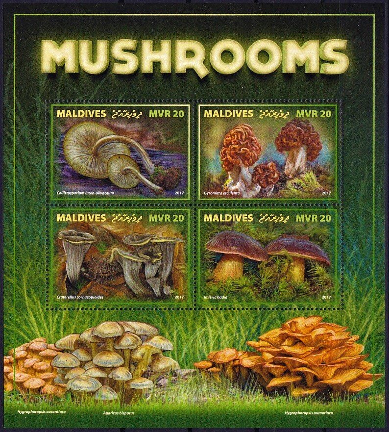 Various Mushrooms