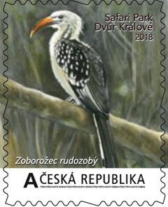 Velké africké expedice II. - Zuborožec rudozobý