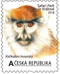 Velké africké expedice II. - Kočkodan husarský