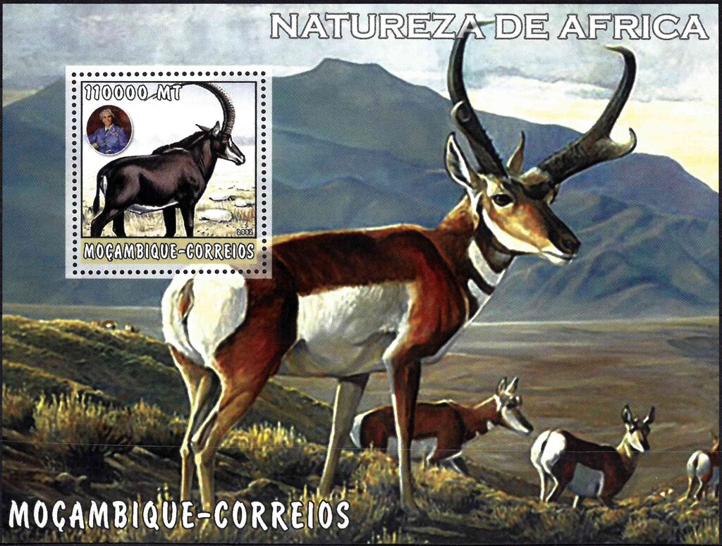 Natureza de Africa