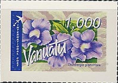 Thunbergia grandiflora