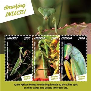 Mini Sheet, Giant African Mantis (Sphodromantis viridis), Liberia,  , Animals (Fauna), Insects
