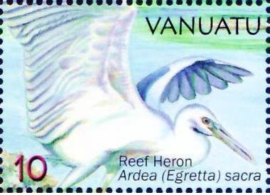 Pacific Reef Heron (Egretta sacra)