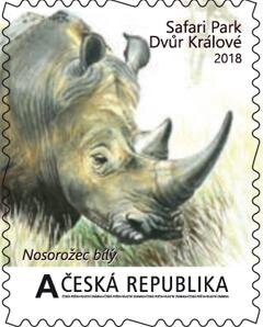 Velké africké expedice I. - Nosorožec bílý