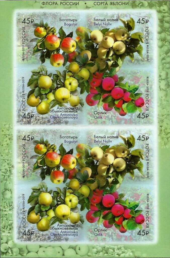Apples of Russia