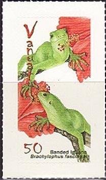 Fiji Banded Iguana (Brachylophus fasciatus)