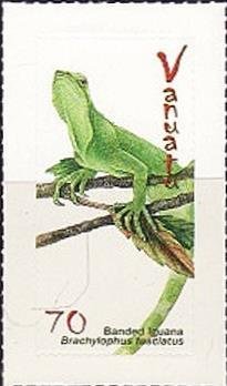 Fiji Banded Iguana (Brachylophus fasciatus)