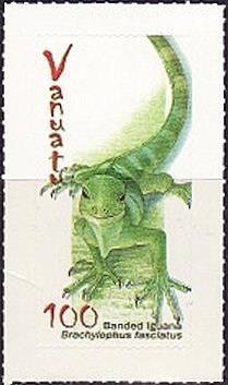 Fiji Banded Iguana (Brachylophus fasciatus)