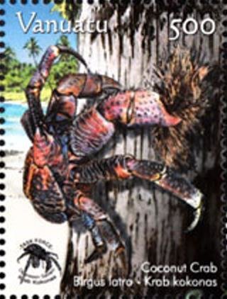 Coconut Crab (Birgus latro)