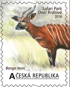 Velké africké expedice I. - Bongo lesní